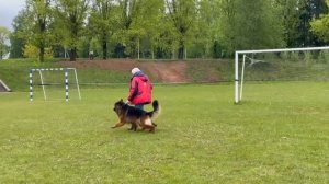 2 Отл. Team Zilber Wasserfall D-AKBARS +++ №109 / КЧК+ БОРИСОВ (BY) 17 мая`25 M.Jovovic Моно нем.овч