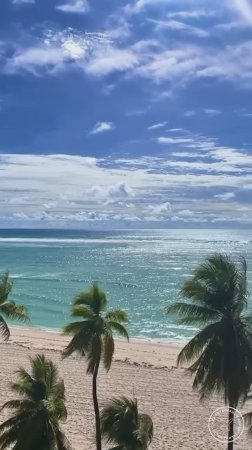 Остров Сайпан, Северные Марианские Острова🌴