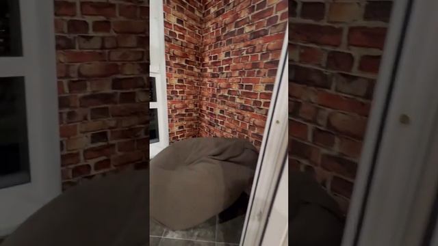 25 октября 2024 г. смотреть онлайн