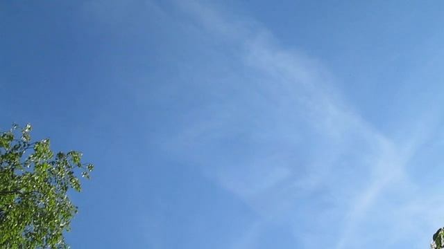 Короли неба - чёрные стрижи. Чебоксары. 29 мая 2020 смотреть онлайн