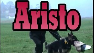 Aristo занятие 24