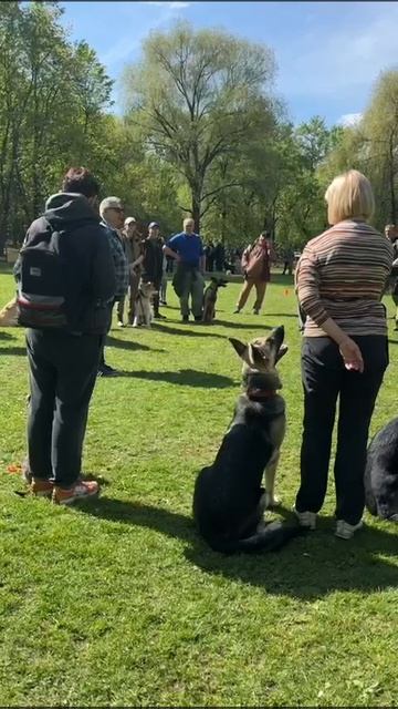 ВЕО - Валентлайф Шэрритэ Шанз Элизе - 9мес. май 2025г. - ОКД, КЦ Сокольники
