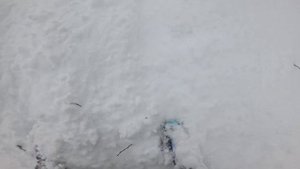 Сравнение фрирайдных сноубордов Terror Grass и Endeavor Archetype