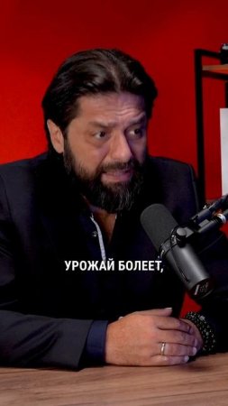 У каждого есть свой огород