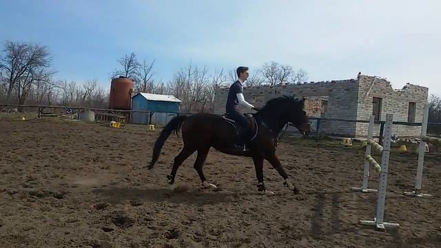 Лошадки смотреть онлайн