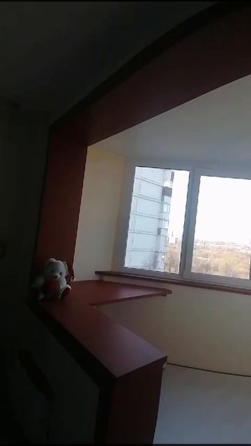 Видео WhatsApp 2025-05-22 в 12.18.23_3ca63404