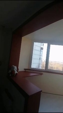 Видео WhatsApp 2025-05-22 в 12.18.23_3ca63404