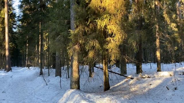 ТВОИ СБЕРЕЖЕНИЯ ОЧЕНЬ ПОМОГУТ МОЕЙ СЕСТРЕ!... | Истори? смотреть онлайн