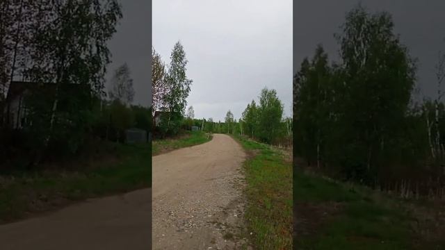 Гроза и молнии у Нины Соодковой на природе под Минском, медитация на 4 стихии. Мир Универсологии