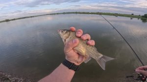 Вечерняя рыбалка. Мормышинг. Карасевый пруд, а, что в нем?