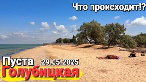 Гуляем по пляжам Азовского моря онлайн! Медузы, мазут, водоросли, холодная вода. 29.05.2025