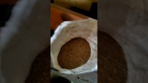 Вы только посмотрите, сколько жрут мои утки! Суровые будни фермера 😱🦆