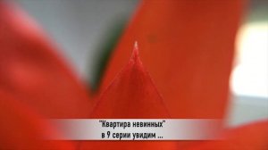 КВАРТИРА НЕВИННЫХ 9 серия РУССКАЯ ОЗВУЧКА