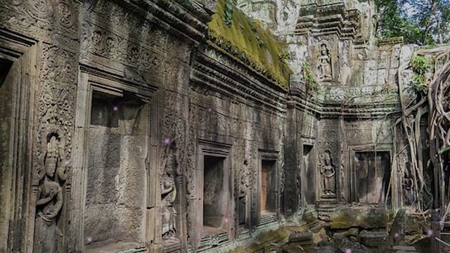 Мой сын не будет содержать чужую дочь, он будет кормит? смотреть онлайн