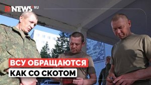 Сколько мирных жителей Курской области ВСУ удерживают в плену, рассказали Хинштейн и Москалькова