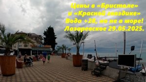 Цены в столовой Бристоль и кафе "Красная гвоздика",вода +28, но не в бассейне! Лазаревское 29.05.25