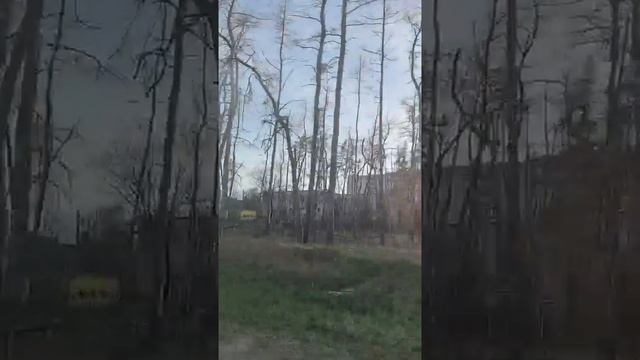 Без преувеличения, как есть!