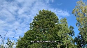 Как моя жена ходила на работу в школу без ТРУСИКОВ. Ист