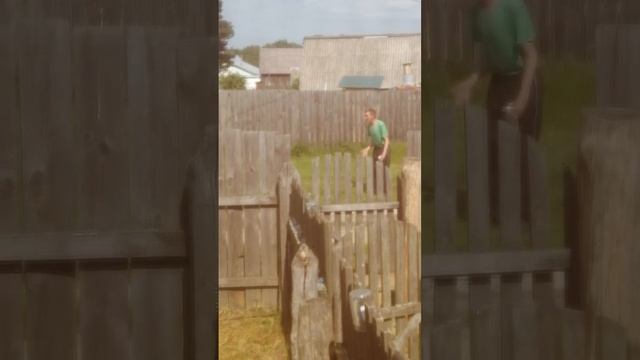 Сосед белку поймал смотреть онлайн