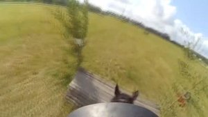 КРОСС ОТ ПЕРВОГО ЛИЦА ЛК100 Полина Бережная и Атлант