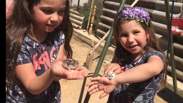 Дети Крыма Indigo смотреть онлайн