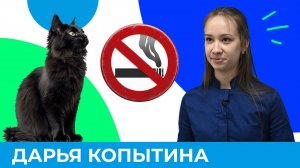 Образ жизни и питомцы: основные вопросы | Короче, Омск 617