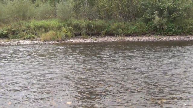 9 Серия Ловля Рыбы Хариус по 2 Сразу Алтайская Балда Удочка Поплавок Тайга Перекат Федоровича Сухой смотреть онлайн