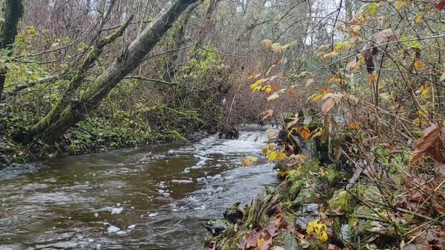 Продажа дома квартиры Короткая Установка Медитация  д смотреть онлайн