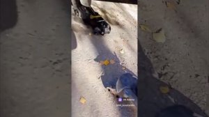 замена переднего ступичного подшипника byd f3