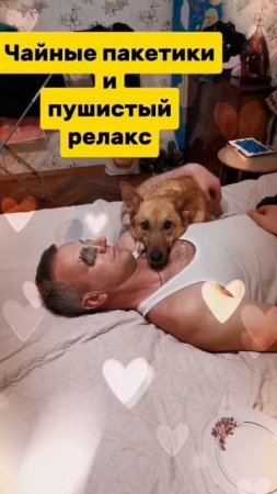 Пушистый релакс🥰🥰🥰