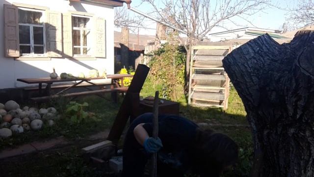 Всего понемногу . Рынок, новые модели. Домашние дела. смотреть онлайн