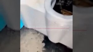 Спрятался в туалете.😂