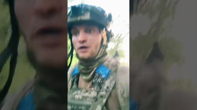 «Нерабы» начинают похрюкивать.