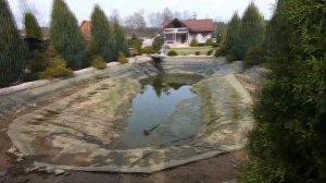 Как Очистить Зеленый Пруд За 1 День?