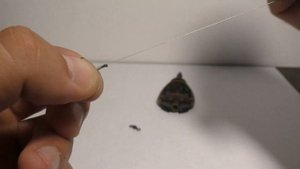 Как связать карповый монтаж с волосом? Сейчас всё расскажу!