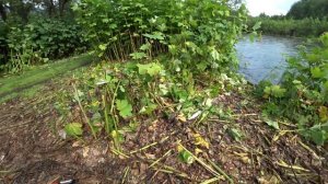 Моя первая рыба. Рыбалка на Камчатке. Река Паратунка.