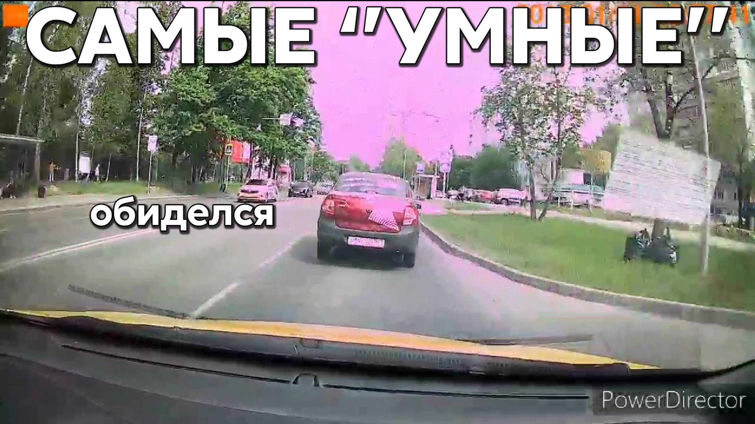 Подборка САМЫХ "УМНЫХ" водителей #1141