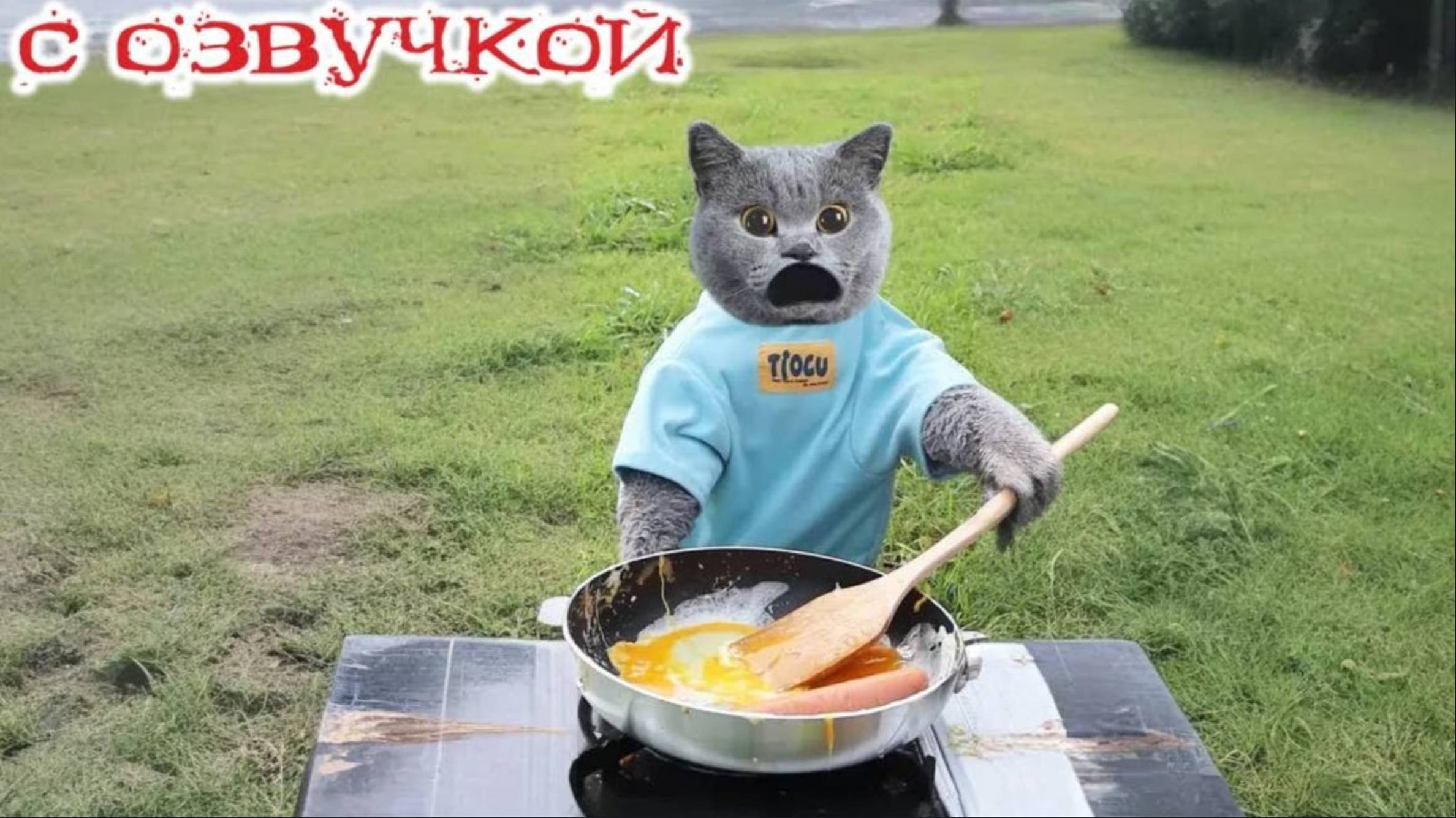 Приколы с Котами Кошками 😈Смешные видео с озвучкой😈СМЕШНОЕ ВИДЕО