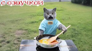 Приколы с Котами Кошками 😈Смешные видео с озвучкой😈СМЕШНОЕ ВИДЕО