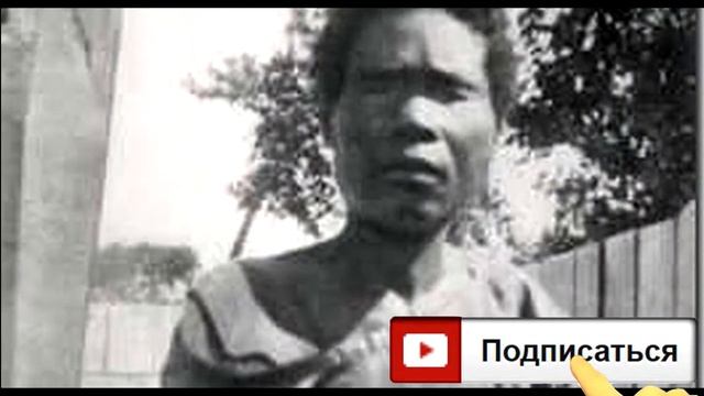 Реальные факты о зомби они есть среди нас!