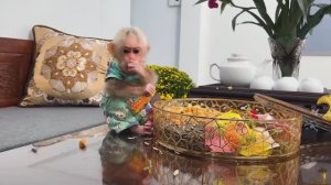 Обезьянка крошка БУКАШКА нашла шоколадные конфеты Поела Перепачкалась Спряталась от папы разукрашенн