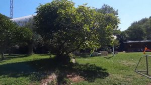 Hotel Rivijera (Ривьера) 4* - Петровац Черногория 2022 | Ожидание - реальность!