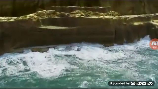 Тираннозавр Рекс против Тарбозавра смотреть онлайн