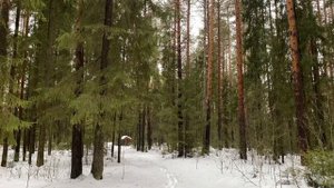 У ТЕБЯ ЖЕ ЕСТЬ КВАРТИРА, А ЭТУ ПОДАРИ СЕСТРЕ!... | Истори