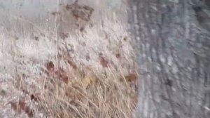 Приволье,лисичанский р-н.