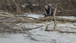 Часть 2. Аккумуляторная цепная пила Profipower mkgst - 18v (отзыв