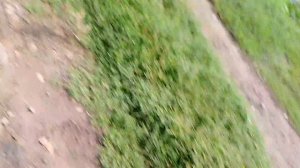 УЗНАЁМ МНОГО НОВОГО О МЭРИ!!! | САМАЯ БОЛЬШАЯ ТАЙНА! | УЖАС! | Призрак Мэри. Сезон 3. 0.95. Серия 7.