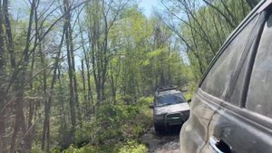 Играем в догонялки