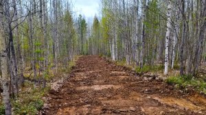 В Пыть-Яхе проводят работы по содержанию минерализованных полос и противопожарных разрывов