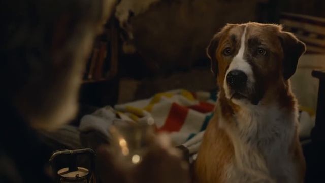 Зов предков смотреть онлайн